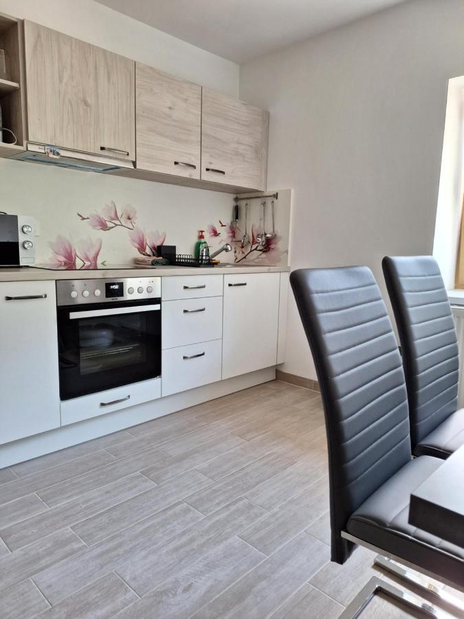Apartmán Alpska Roza Kranjska Gora Exteriér fotografie
