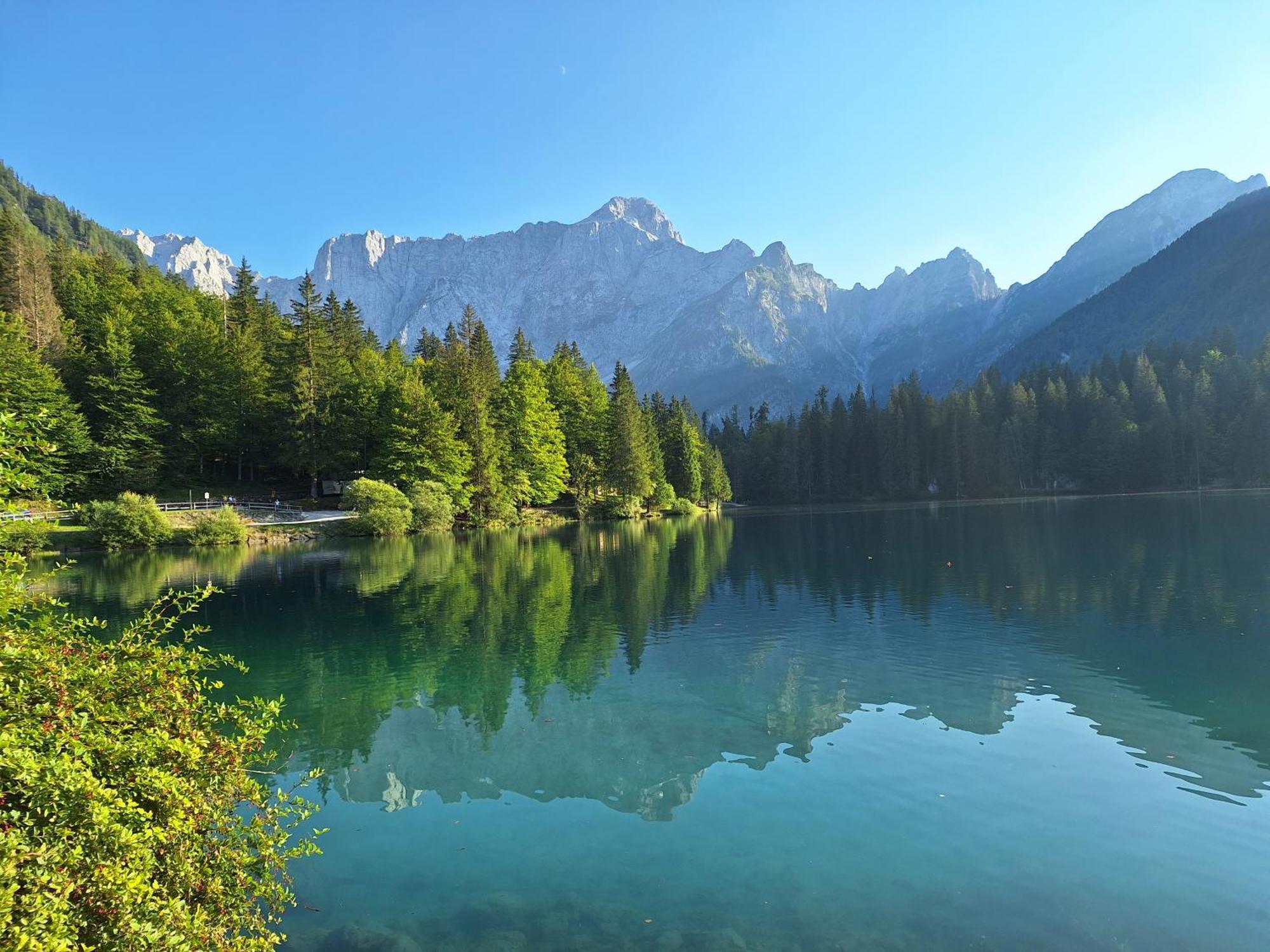 Apartmán Alpska Roza Kranjska Gora Exteriér fotografie
